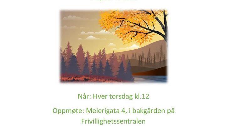 Lenke til artikkel: Turgruppa.