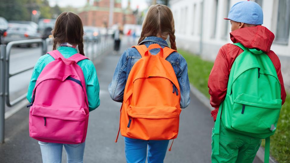 Lenke til artikkel: Trygg Trafikk - Trygg skolestart begynner nå