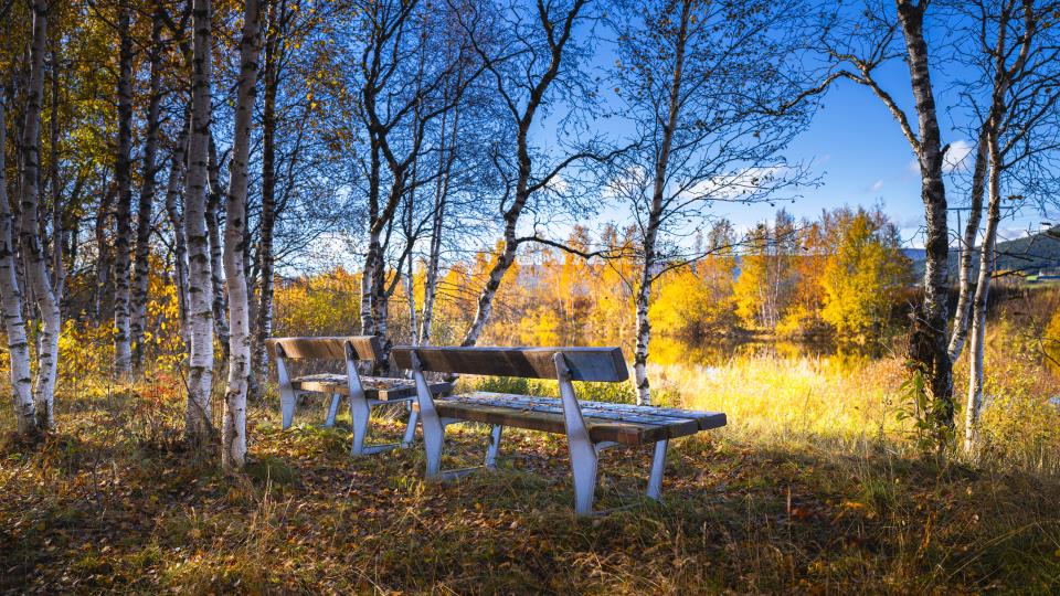 Lenke til artikkel: Tid for ettertanke og takk fra ordfører