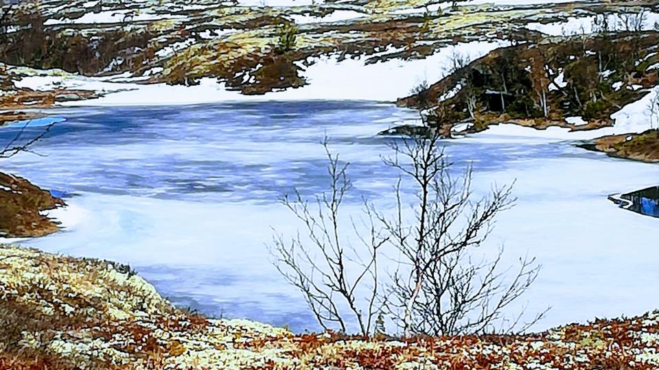 Lenke til artikkel: Advarer mot livsfarlig ferdsel og fiske ved kraftverksinntak