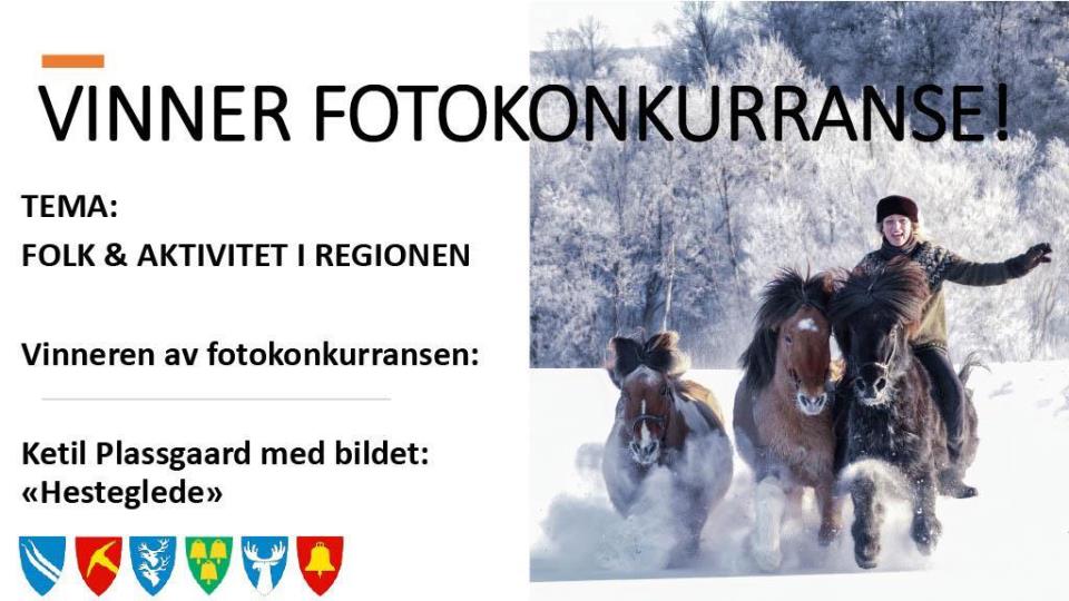 Lenke til artikkel: Vinner av IPRNØ's fotokonkurranse "Folk og aktivitet"