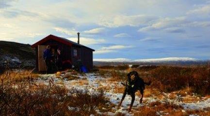 utfartsbu. Foto - Klikk for stort bilde