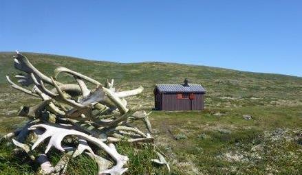 utfartsbu. Foto - Klikk for stort bilde